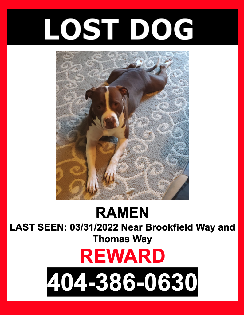 Image of Ramen, Lost Dog