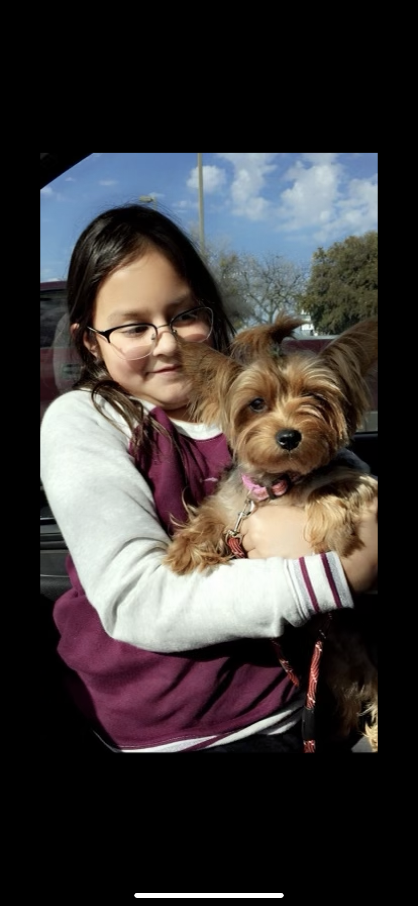 Image of Little girl, Lost Dog