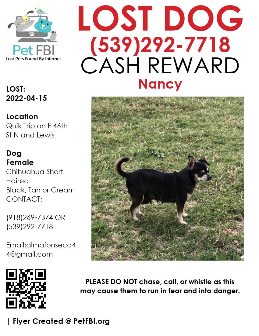 Image of Nancy, Lost Dog