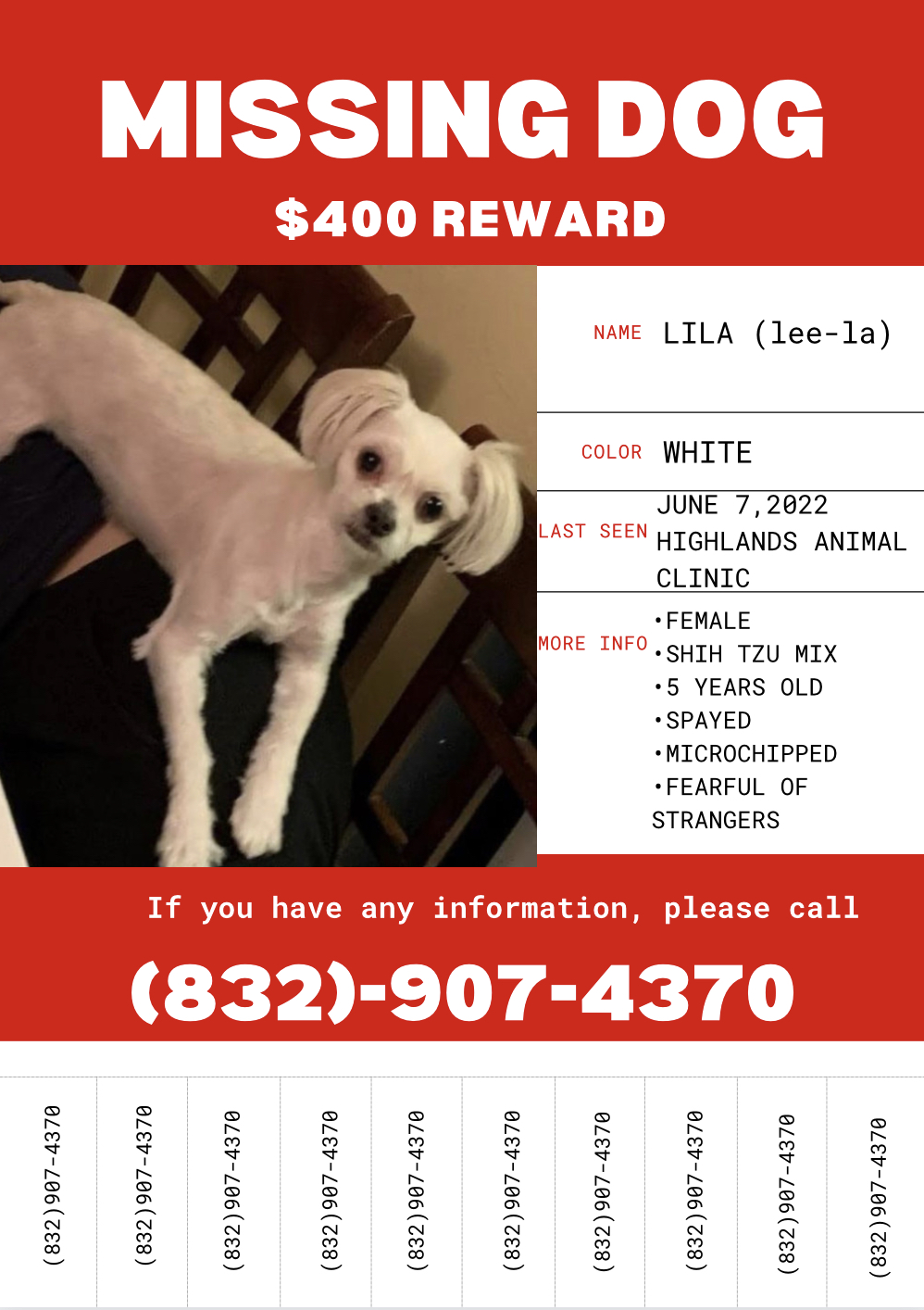 Image of lila, Lost Dog