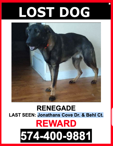 Image of Renegade, Lost Dog