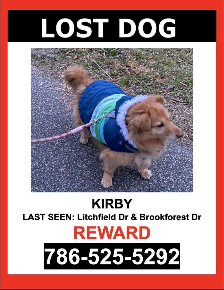 Image of Kirby, Lost Dog