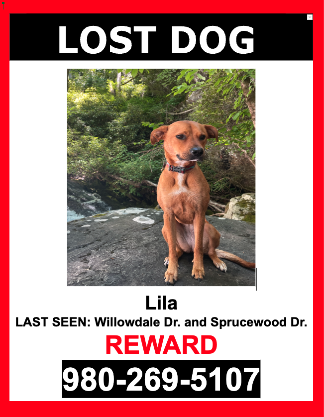 Image of LILA, Lost Dog