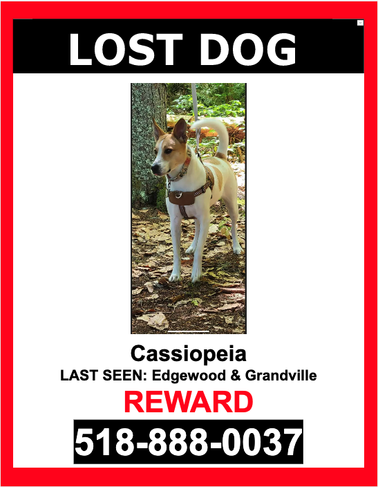 Image of CASSIOPEIA, Lost Dog