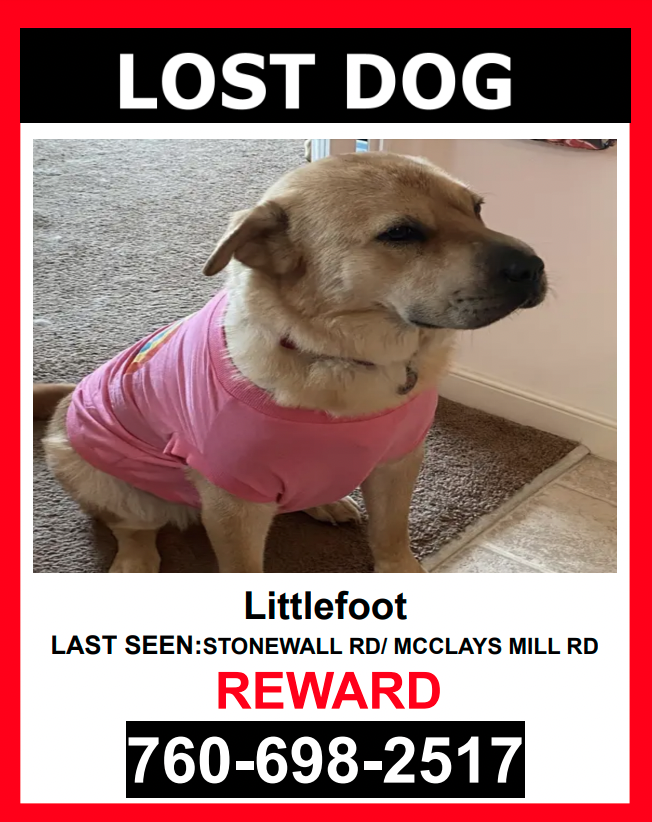 Image of Littlefoot, Lost Dog
