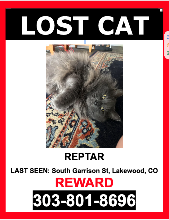 Image of Reptar, Lost Cat