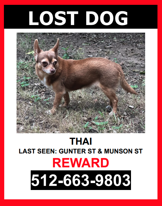 Image of Thai, Lost Dog
