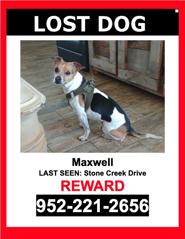 Image of Maxwell, Lost Dog