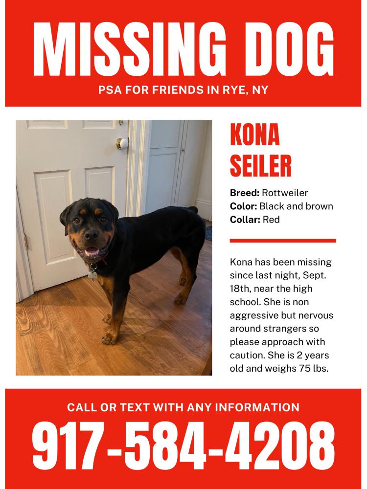 Found Dog Kona Seiler