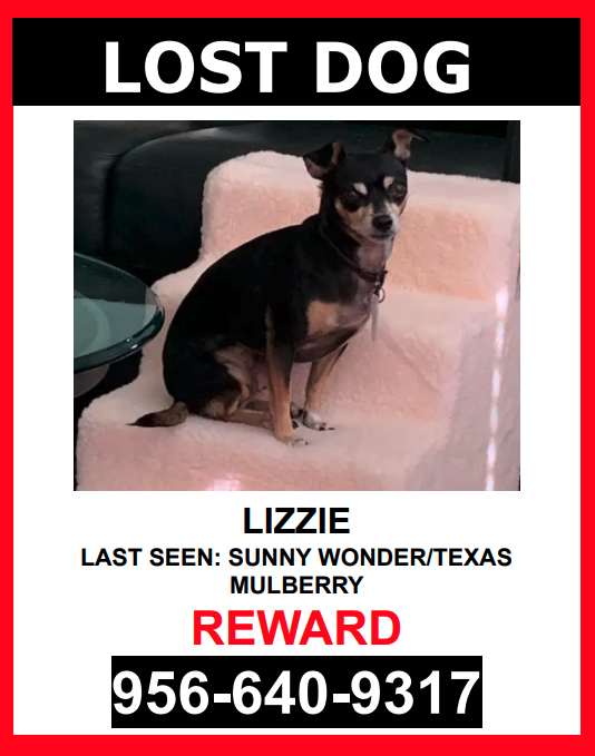 Image of Lizzie, Lost Dog
