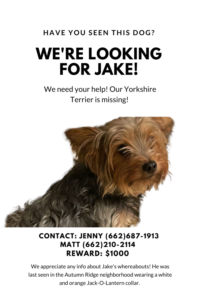 Image of Jake, Lost Dog