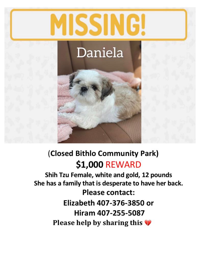 Image of Daniela, Lost Dog
