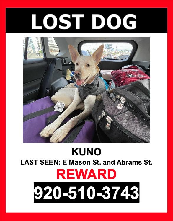 Image of Kuno, Lost Dog