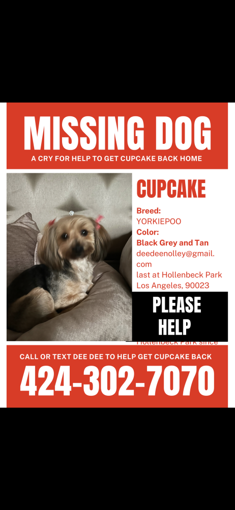 Image of Cupcake, Lost Dog