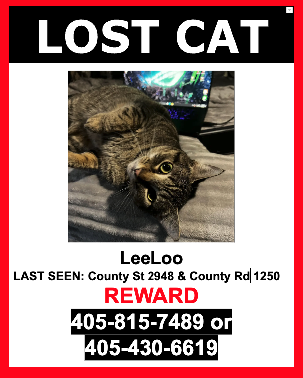 Image of LeeLoo, Lost Cat