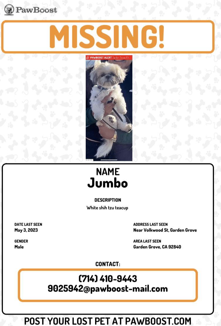 Image of Jumbo, Lost Dog