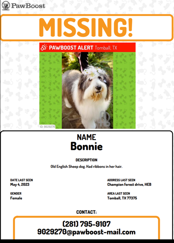 Image of Bonnie, sheep dog, Lost Dog