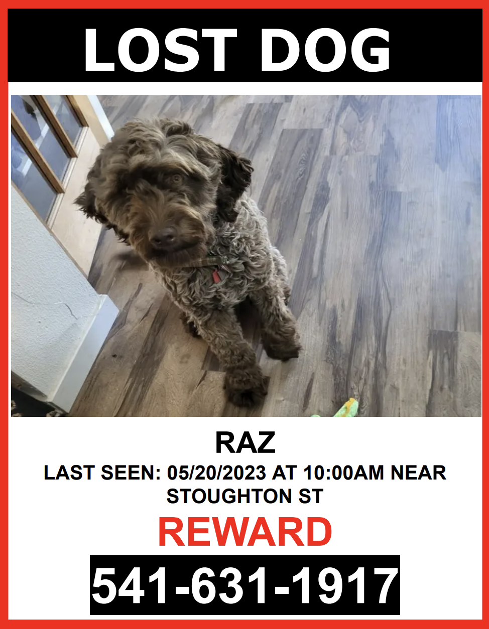 Image of RAZ, Lost Dog