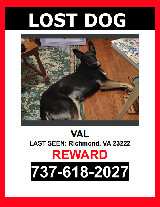 Image of Val, Lost Dog