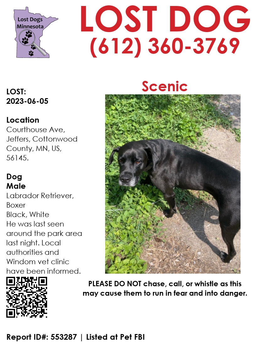 Image of Scenic, Lost Dog