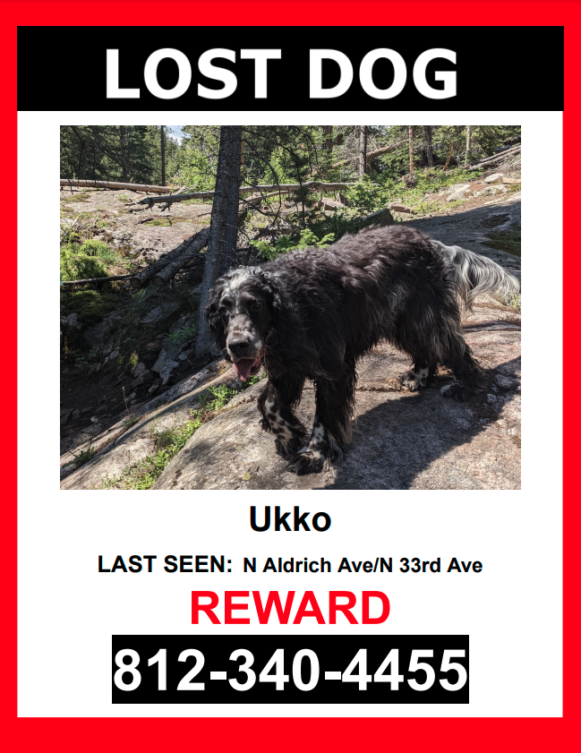 Image of UKKO, Lost Dog