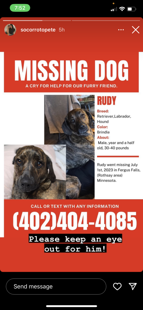 Image of Rudy, Lost Dog
