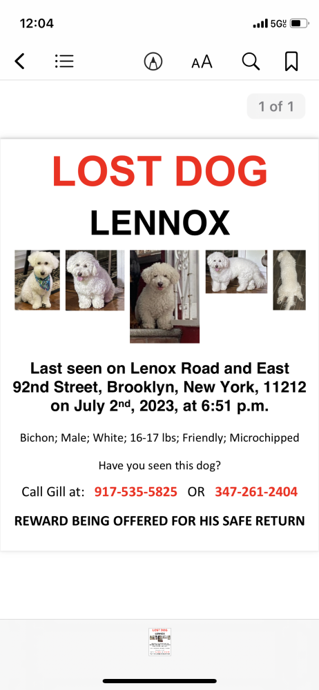 Image of Lennox, Lost Dog