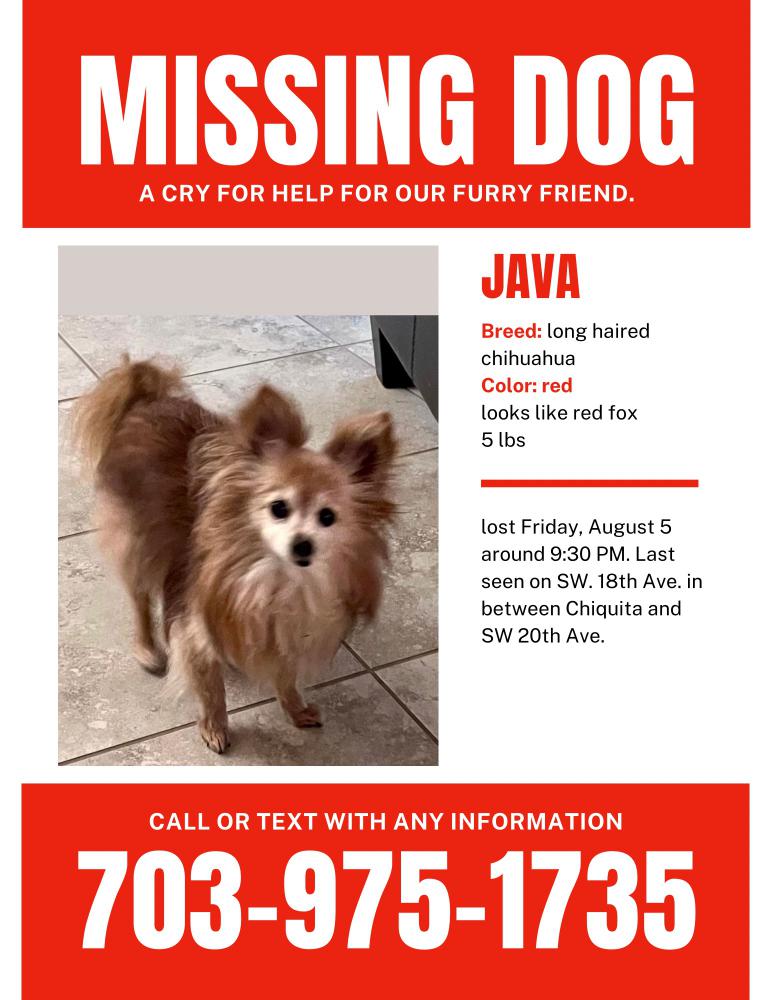 Image of Java, Lost Dog
