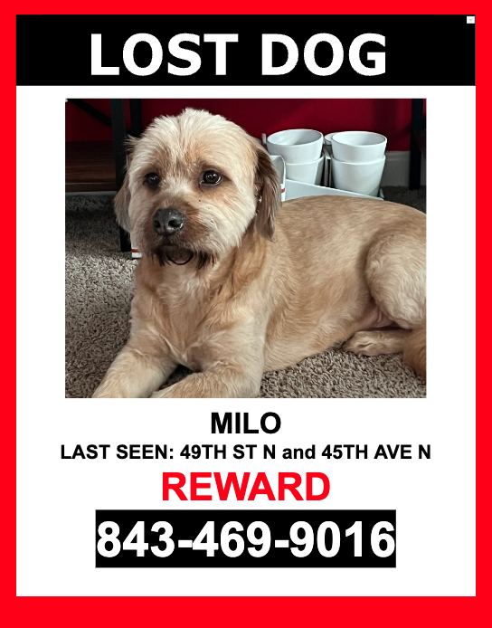 Image of MILO, Lost Dog