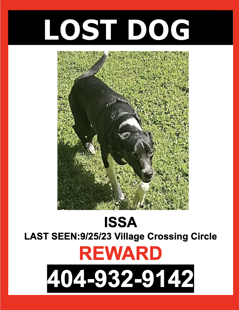 Image of Issa, Lost Dog