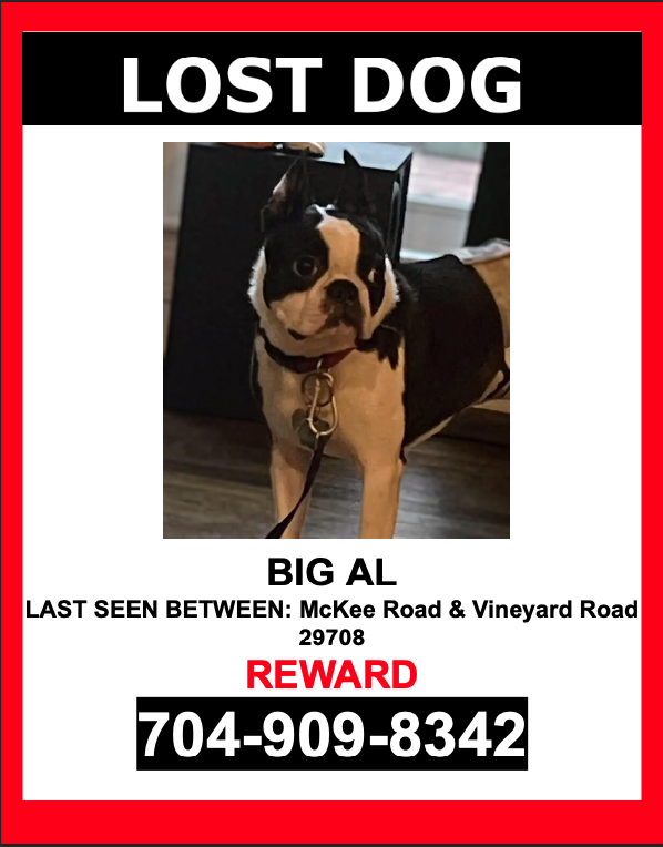 Image of Big Al, Lost Dog