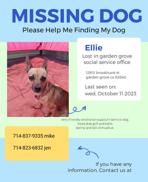 Image of Ellie Rebelli, Lost Dog