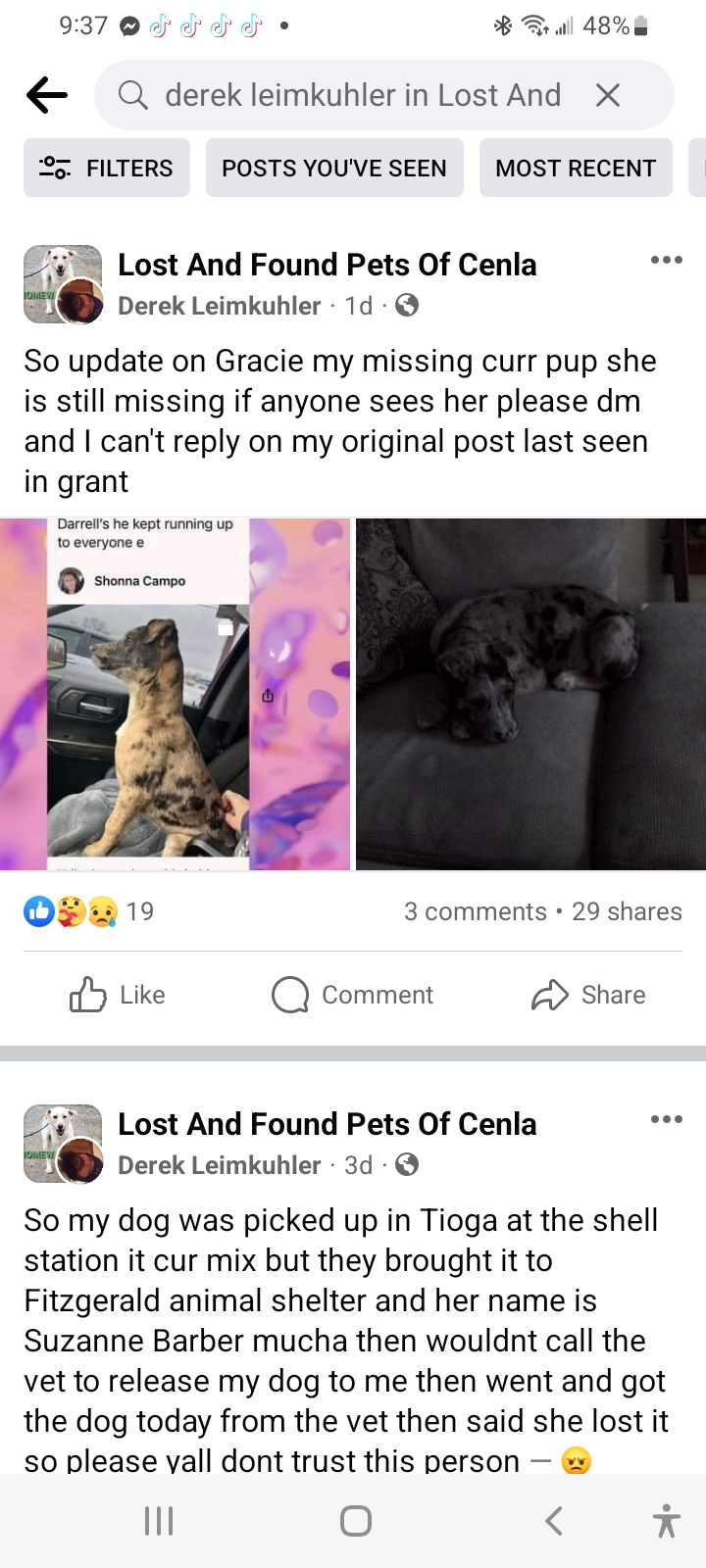 Image of Gracie, Lost Dog