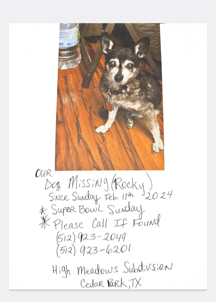 Image of Rocky (Chihuahua), Lost Dog