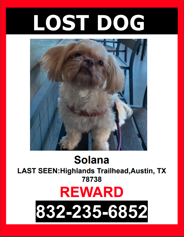 Image of Solana, Lost Dog
