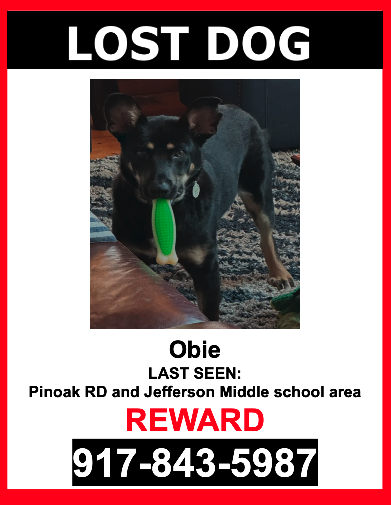 Image of Obie, Lost Dog