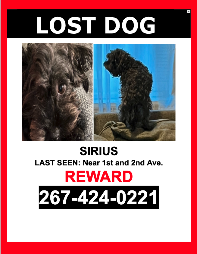 Image of SIRIUS, Lost Dog