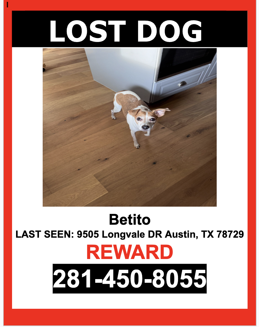 Image of Betito, Lost Dog