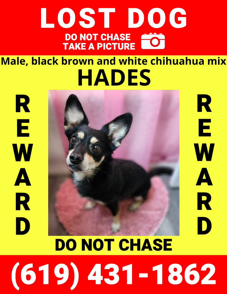 Image of Hades, Lost Dog