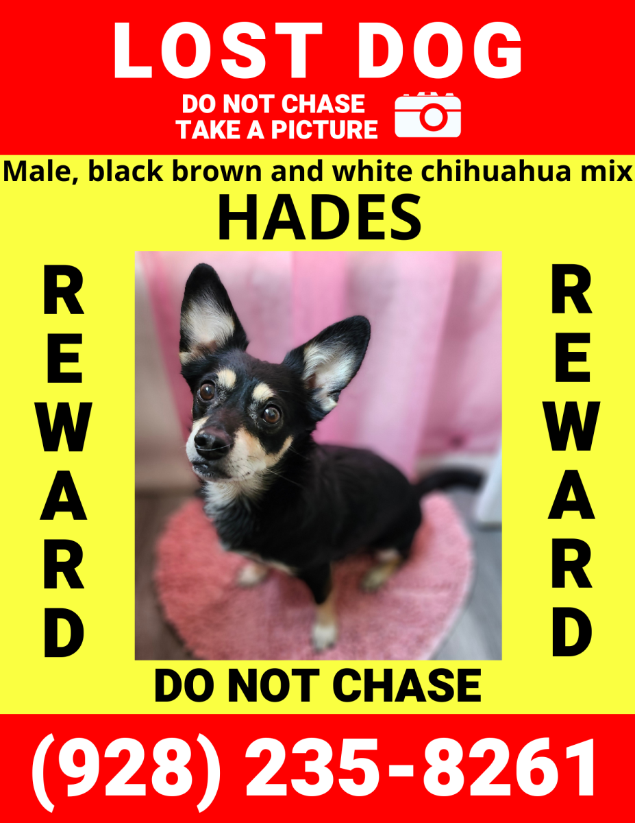 Image of Hades, Lost Dog