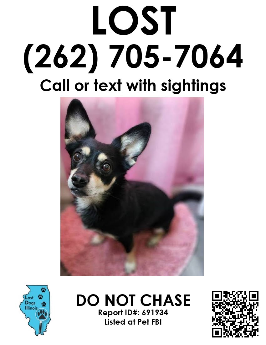 Image of Hades, Lost Dog