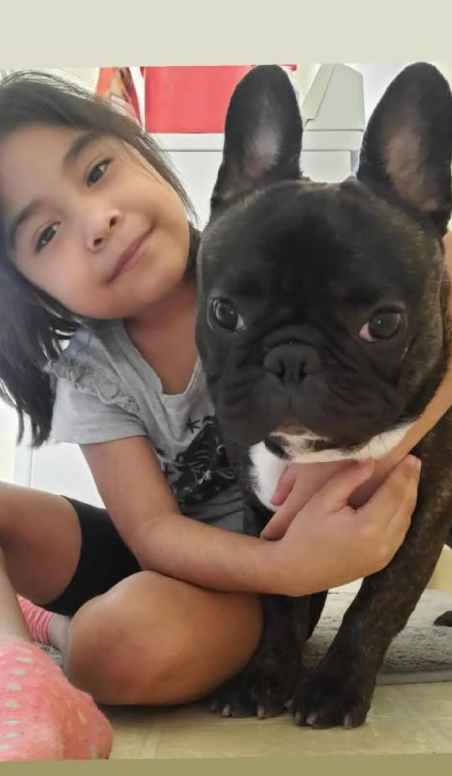 Image of Gucci, Lost Dog