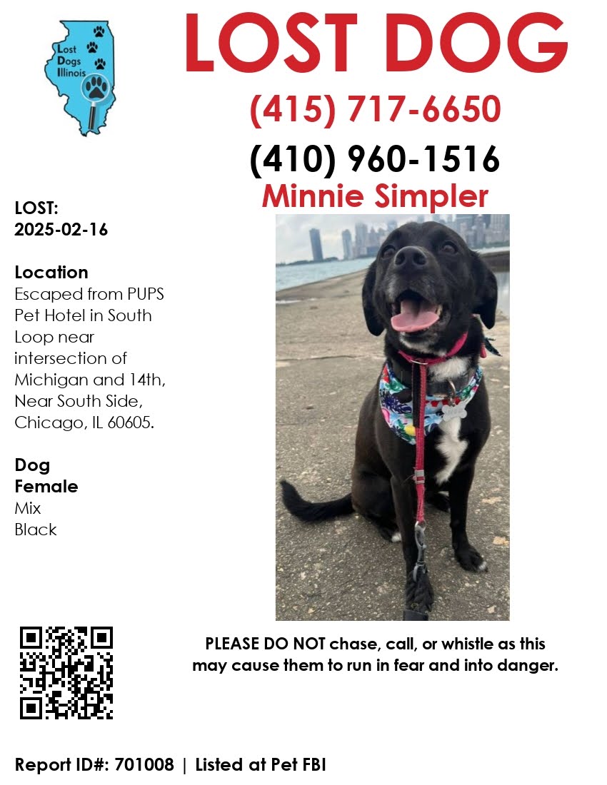 Image of Minnie, Lost Dog