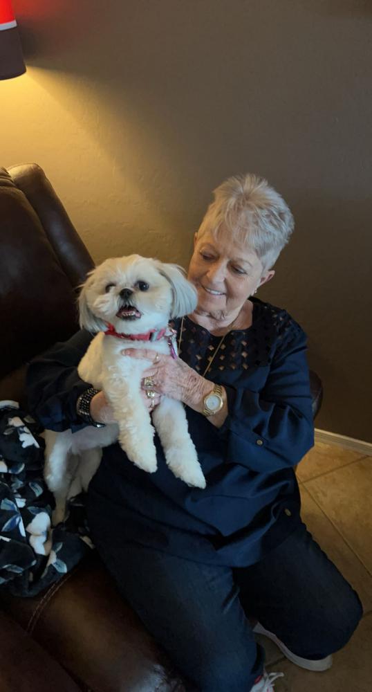 Image of Sofie, Lost Dog