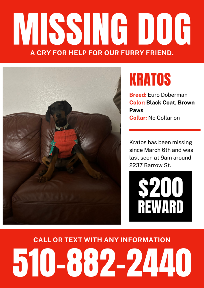 Image of Kratos, Lost Dog