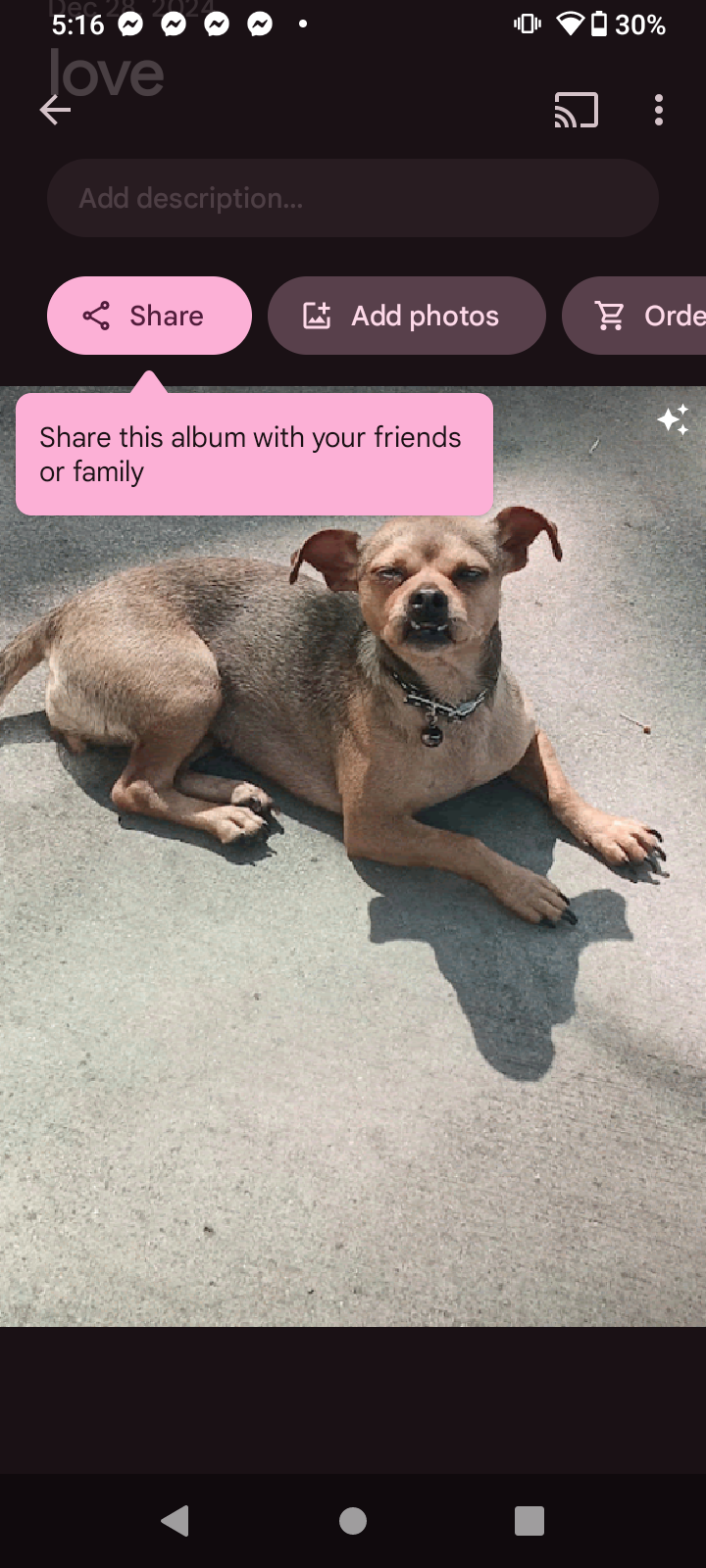 Image of Love, Lost Dog