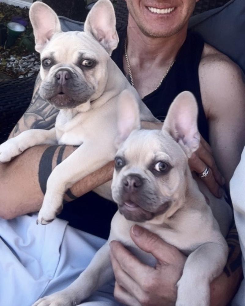 Image of Luna & Kona, Lost Dog