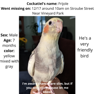 2nd Image of Frijole, Lost Bird