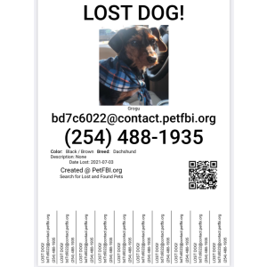 Lost Dog Grogu