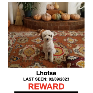 Lost Dog Lhotse